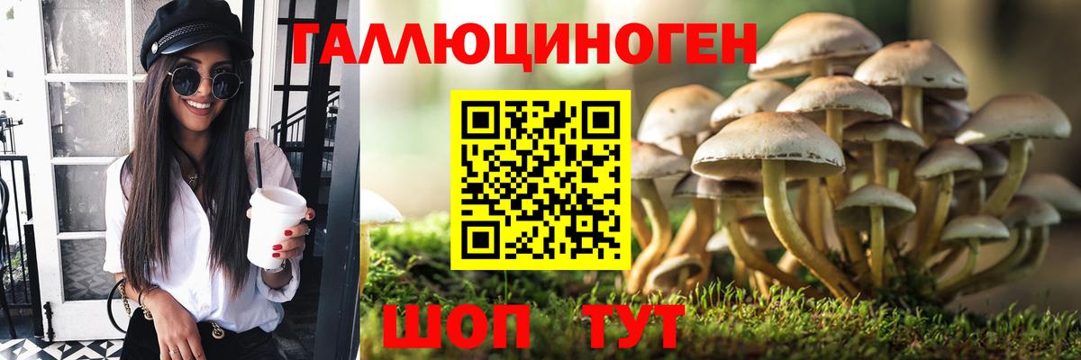 Псилоцибиновые грибы мухоморы Качканар
